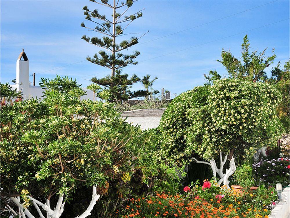 Dimitra Pension Mykonos Town Extérieur photo